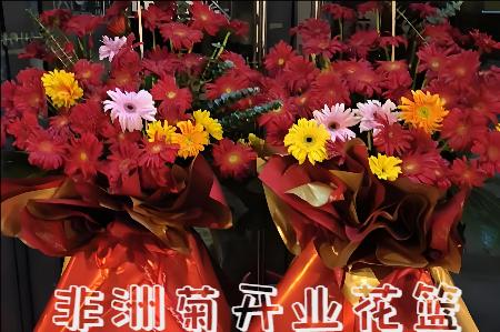 平阳哪里有花店